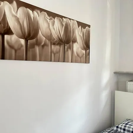 Gæstehus Centrum Artlwowska *